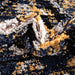 Unique Loom Tagine Collection Area Rug - Soraya